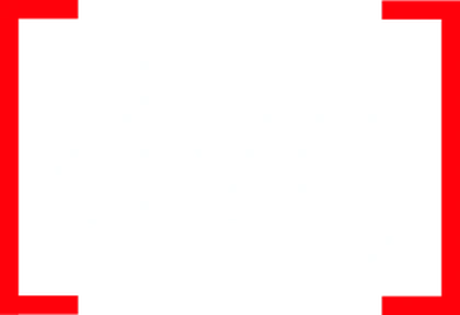 DVG Interactive
